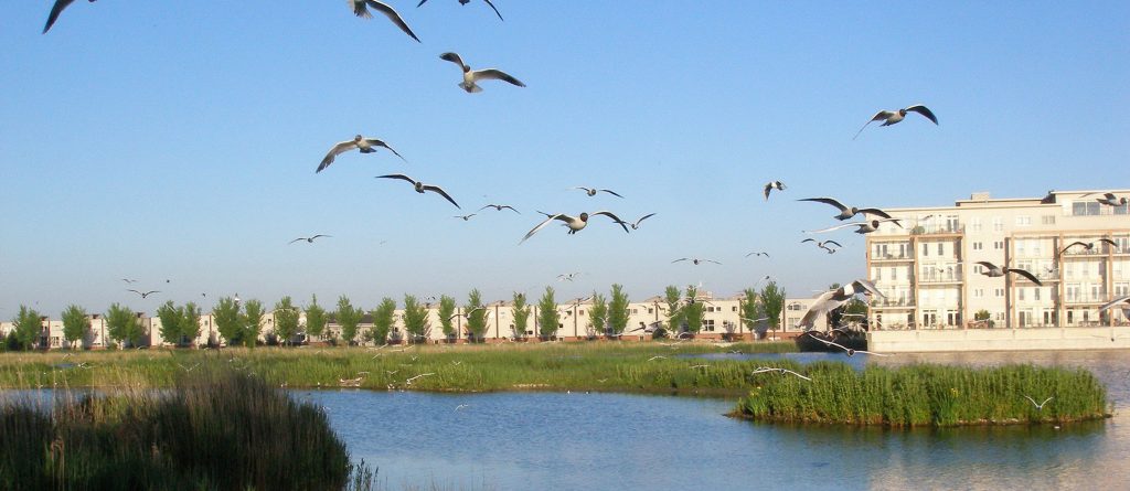 brandbeveiliging Limor ondersteuning en rehabilitatie